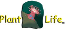 Plant Life logo.
